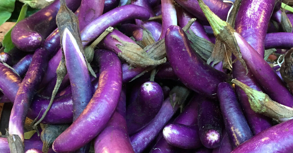 Bev Shaffer - Love is Healthier than Kale - Eggplant