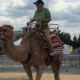 Bev Shaffer - Do Not Let What You Cannot Do - John Riding Camel at Ohio State Fair