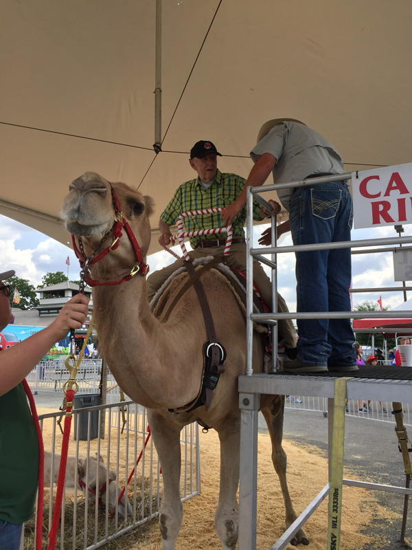 Bev Shaffer - Do Not Let What You Cannot Do - John Mounting Camel at Ohio State Fair