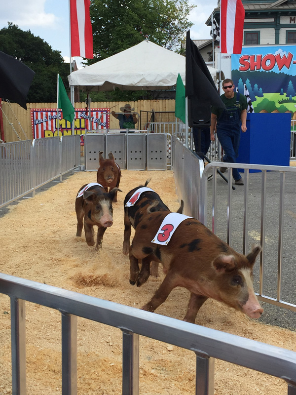 Bev Shaffer - Do Not Let What You Cannot Do - Ohio State Fair Pig Races