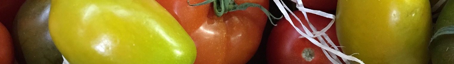 Bev Shaffer Farmers Market Tomatoes