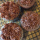 Bev Shaffer - Did Someone Say Chocolate - Frosted Chocolate Cupcakes