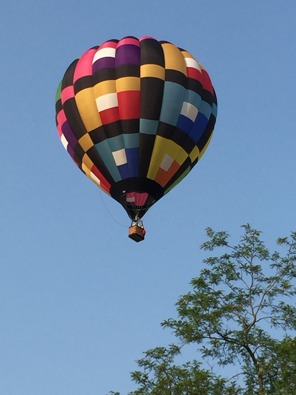 Bev Shaffer - When It's Been A Stressful Week - Black Checked Hot Air Balloon