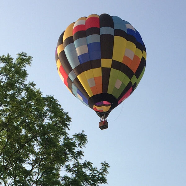 Bev Shaffer - When It's Been a Stressful Week -Multi-Color Hot Air Balloon over Trees